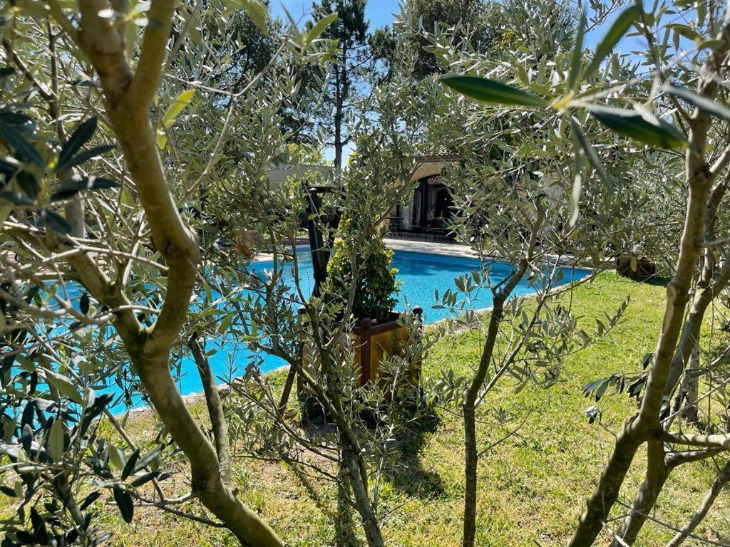 Gite Au Coeur De La Provence & Spa Saint-Cannat Ngoại thất bức ảnh